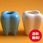 150_f_denta_blue_white プチギフト つまようじスタンド