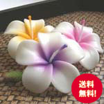150_f_frangipani_candle プチギフト フローティングキャンドル
