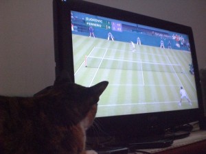 猫も観戦中　ウィンブルドンテニス2012