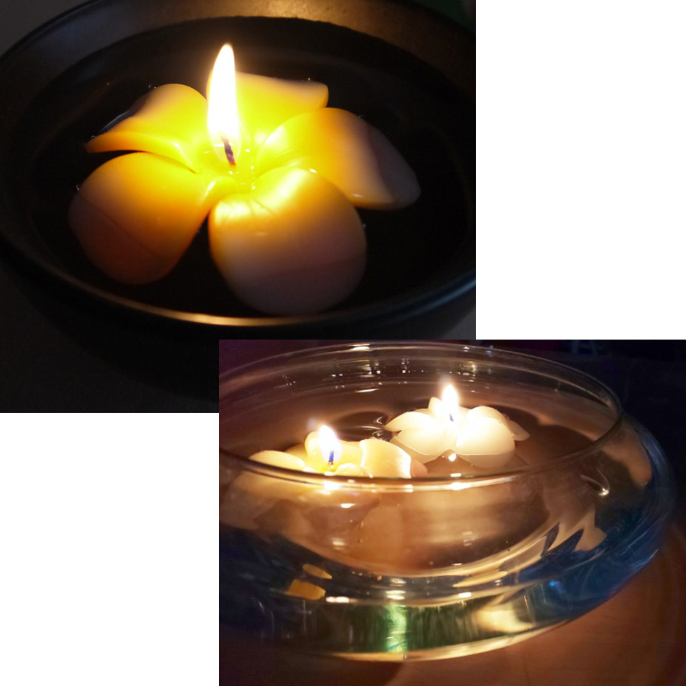 �A���}�O�b�Y����������l�܂����M�t�g�Z�b�g�ł��@�ސE����v�`�M�t�g �������񎟉� �A���}�M�t�gBOX�iL�j �����ƃL�����h���̃Z�b�g