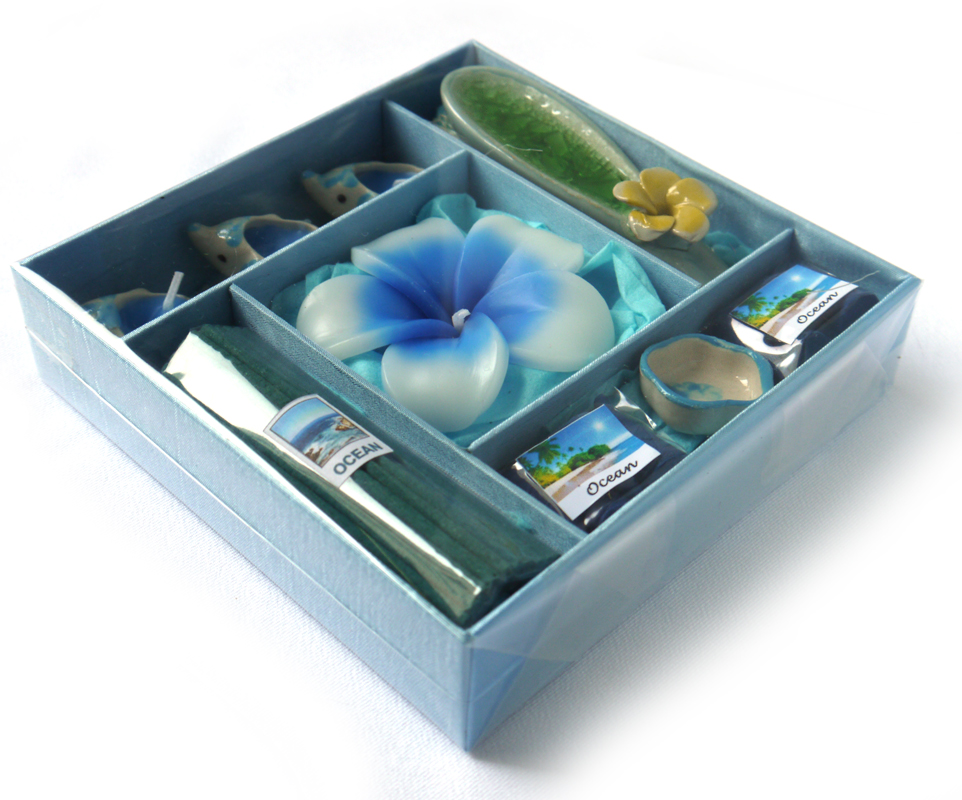 �A���}�M�t�gBOX L�@�u���[