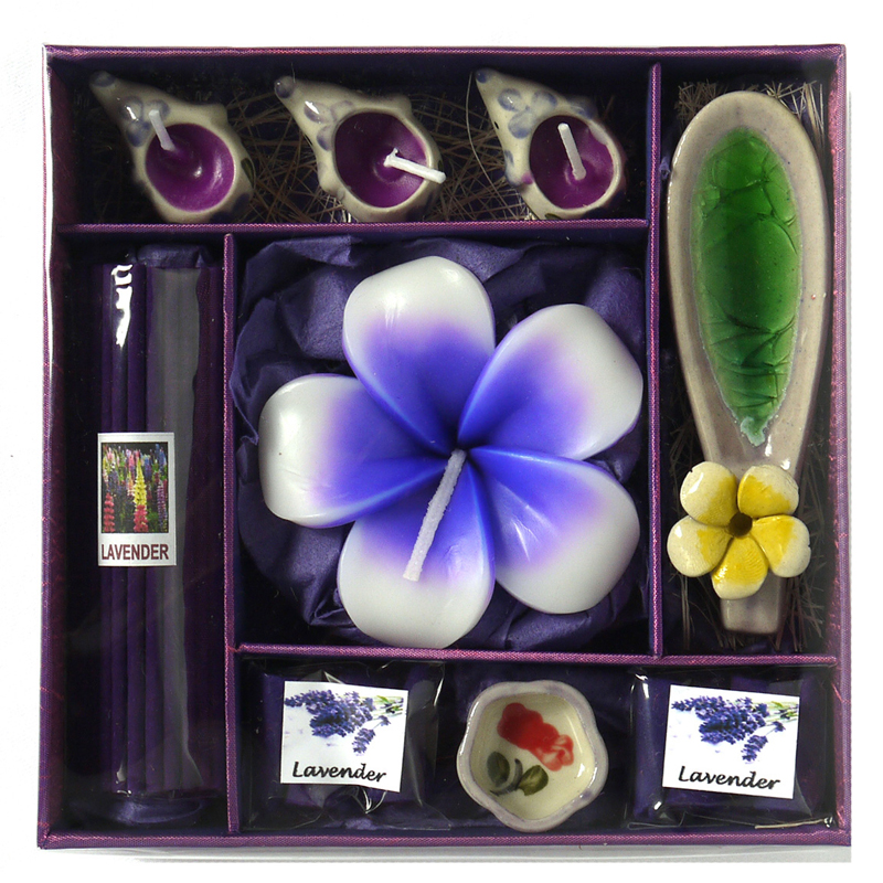 �ސE����v�`�M�t�g�l�C ���Ԃ��M�t�g �A���}�M�t�gBOX L�@�p�[�v���@���F