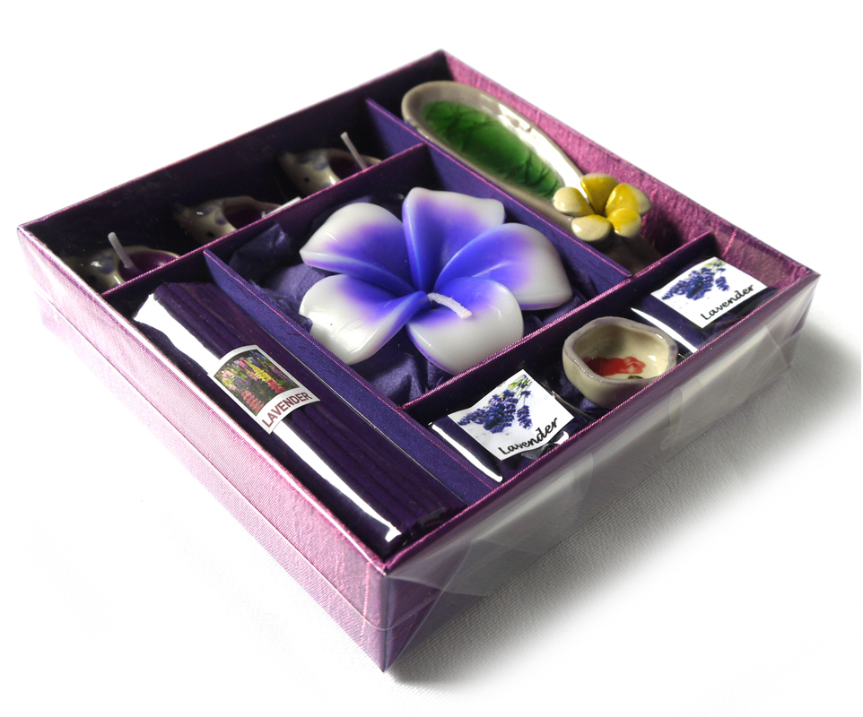 �ސE����v�`�M�t�g���Ԃ��M�t�g�l�C �A���}�L�����h���Ƃ����̃M�t�g�Z�b�g �A���}�M�t�gBOX (L)