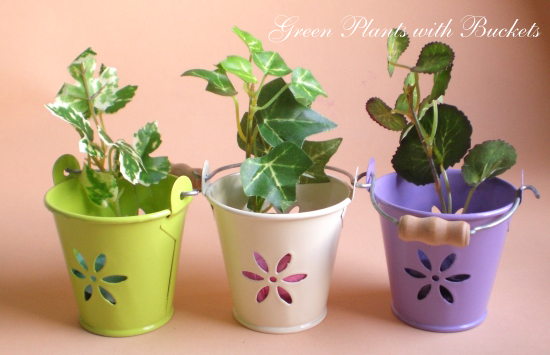 �u���L�̃~�j�`���A�o�P�c