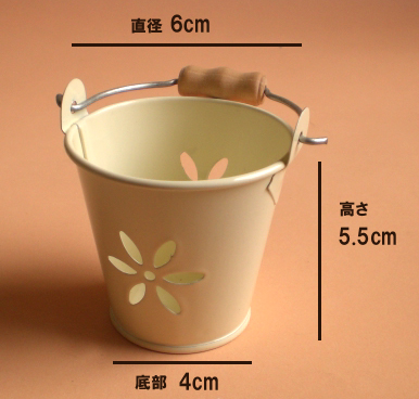 ���i�T�C�Y�@�u���L�̃~�j�`���A�o�P�c