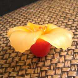 �t���[�e�B���O�L�����h���@�n�C�r�X�J�X