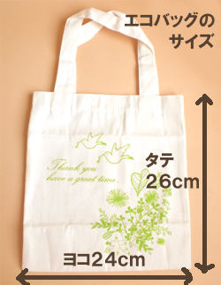 �G�R�o�b�O�̃T�C�Y