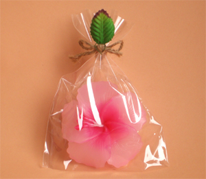 �t���[�e�B���O�L�����h���@�n�C�r�X�J�X�̃��b�s���O