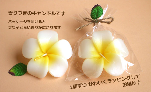 ������̃L�����h���ł��B�p�b�P�[�W���J����ƃt���b�Ɨǂ����肪�L����܂��B1�����킢�����b�s���O���Ă��͂���