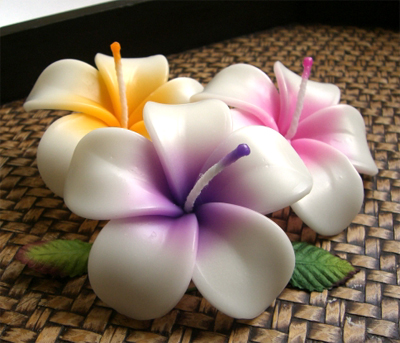 �t���[�e�B���O�L�����h���@�v�������A