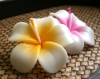 �t���[�e�B���O�L�����h���@�v�������A