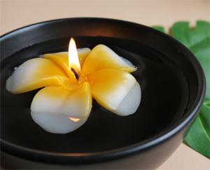 �t���[�e�B���O�L�����h��