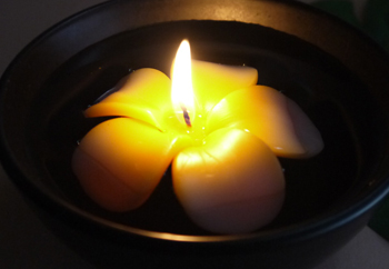 �t���[�e�B���O�L�����h��