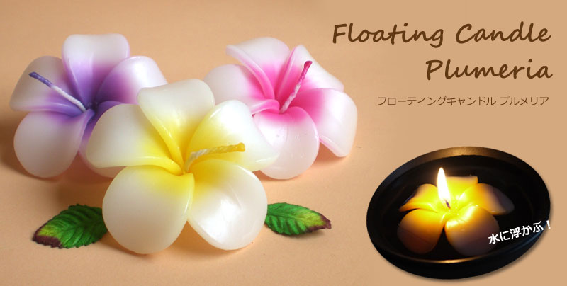 �t���[�e�B���O�L�����h���v�������A�@���ɕ����ԁ@floating candle plumeria