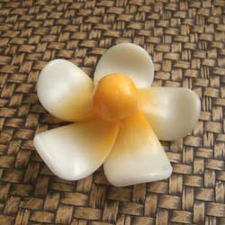 �t���[�e�B���O�L�����h���v�������A�@��