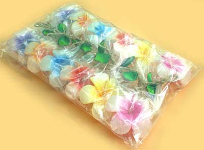 �v�������A�t���[�e�B���O�L�����h���@12�p�b�N