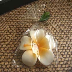 �t���[�e�B���O�L�����h���v�������A�@���b�s���O