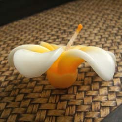 �t���[�e�B���O�L�����h���v�������A�@��