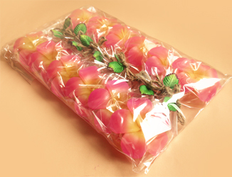 �v�`�M�t�g�@�t���[�e�B���O�L�����h���v�������A