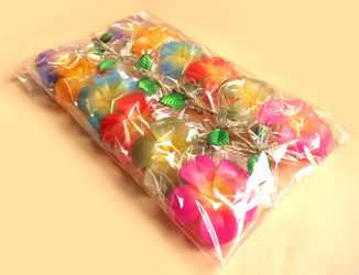 �v�`�M�t�g�@�t���[�e�B���O�L�����h���v�������A