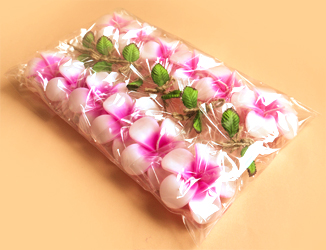 �v�`�M�t�g�@�t���[�e�B���O�L�����h���v�������A