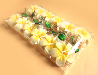 �v�`�M�t�g�@�t���[�e�B���O�L�����h���v�������A