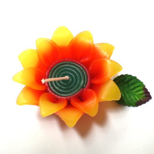 �Ђ܂��̃t���[�e�B���O�L�����h���@�Ȃ̃v�`�M�t�g