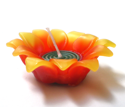 �t���[�e�B���O�L�����h���Ђ܂��@�Ẵv�`�M�t�g