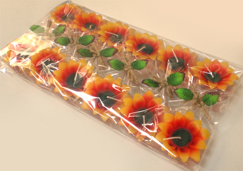 ���͂�����ԁ@������@�@�M�t�g���b�s���O�����@�Ẵv�`�M�t�g�@�Ђ܂��̃t���[�e�B���O�L�����h��