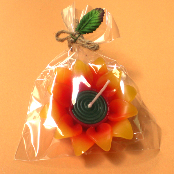 �M�t�g���b�s���O�����@�Ẵv�`�M�t�g�@�Ђ܂��̃t���[�e�B���O�L�����h��