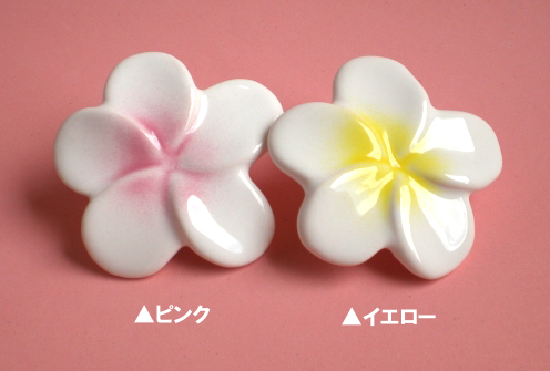 プルメリアのマグネット