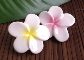 �v�������A�}�O�l�b�g