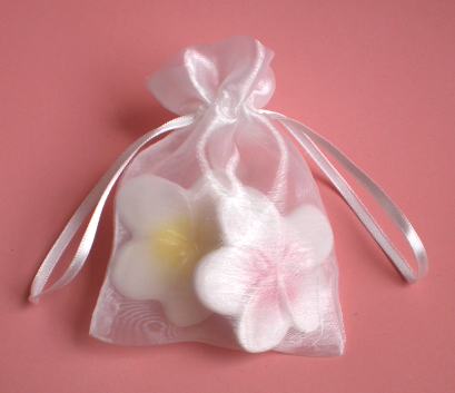 プルメリアのマグネット