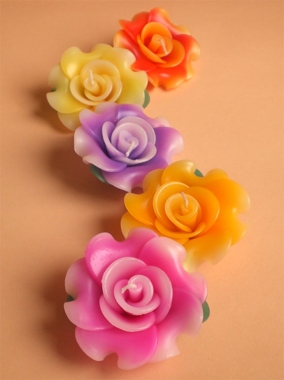 �t���[�e�B���O�L�����h�����[�Y�@�ސE����M�t�g�������񎟉�v�`�M�t�g�̃p�C���M�t�g