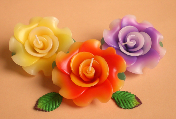 �v�`�M�t�g�@�o���̃A���}�L�����h���@�A�\�[�g