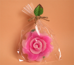 ���b�s���O���@�@�t���[�e�B���O�L�����h�����[�Y�@�ސE����M�t�g�������񎟉�v�`�M�t�g�̃p�C���M�t�g