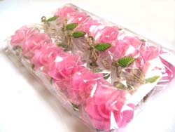 �v�`�M�t�g�@�o���̃A���}�L�����h���@�s���N�@����