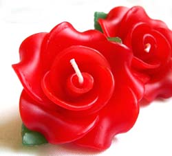 �v�`�M�t�g�@�o���̃A���}�L�����h���@���b�h