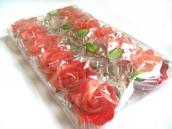 �v�`�M�t�g�@�o���̃A���}�L�����h���@���b�h�@����