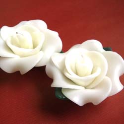 �v�`�M�t�g�@�o���̃A���}�L�����h���@�z���C�g