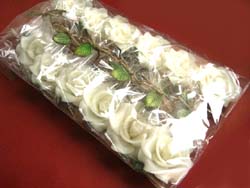 �v�`�M�t�g�@�o���̃A���}�L�����h���@�z���C�g�@����