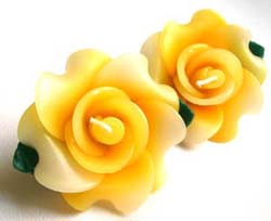 �v�`�M�t�g�@�o���̃A���}�L�����h���@�C�G���[