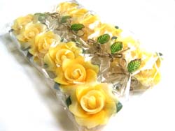 �v�`�M�t�g�@�o���̃A���}�L�����h���@�C�G���[�@����