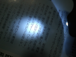 ���C�g�g�p��