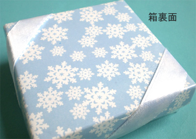 �����ʁ@�X�m�[�t���[�N��̌����u�b�N�}�[�N