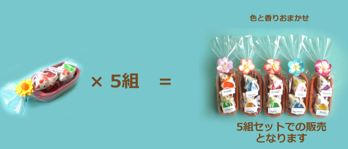 �]�E����A���}�L�����h�� 5�g���� �v�`�M�t�g�������񎟉�@�ސE����M�t�g