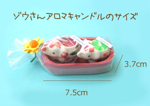 �]�E����A���}�L�����h���̃T�C�Y�@�v�`�M�t�g�@�������񎟉�M�t�g