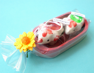 �]�E����A���}�L�����h�� 5�g���� �ސE����M�t�g�������񎟉�v�`�M�t�g