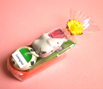 �A���}�L�����h���ƃ]�E����̂����Z�b�g