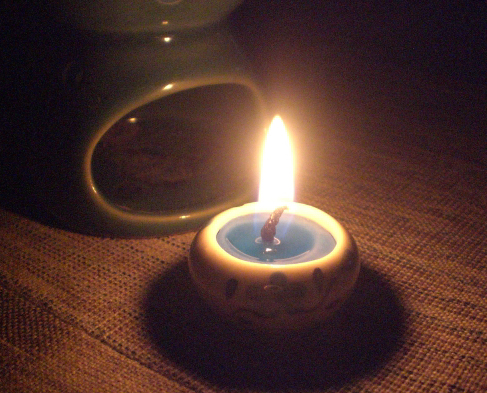 �A���}�L�����h���g�p���C���[�W